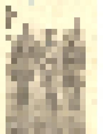 Фотография: Фильчаков И.Я., Герой Советского Союза, с фронтовыми товарищами