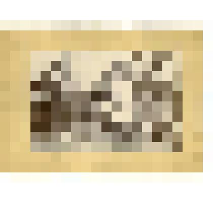 Фотография. Семеновский уезд. Производство ложек