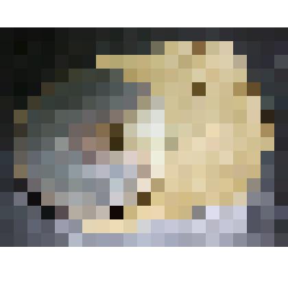 Элемент нагревательный к плитке электрической бытовой ПЭ-600-2, из коллекции документальных, фотографических и вещевых материалов о Миловидовой Инне Борисовне (1929-2009), кандидате биологических наук, преподавателе биофака Саратовского государственного у