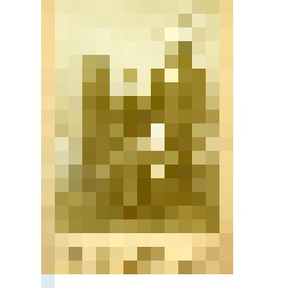 Фотография на паспарту