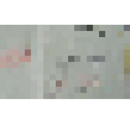 свидетельство №14384 Миллер В.П