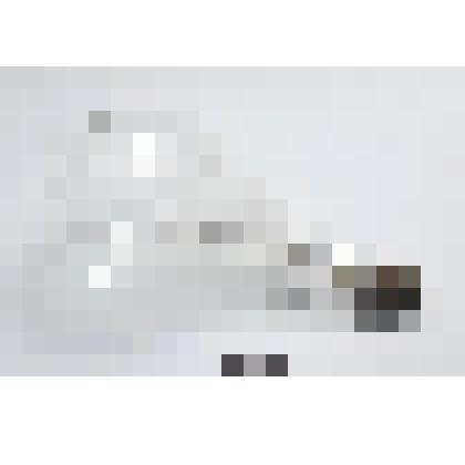 Лампа накаливания (бытовая) 120 V, 300 W