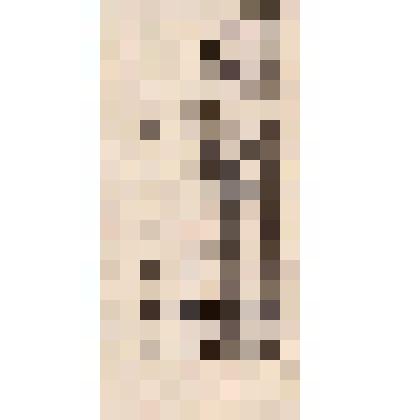 Экслибрис Чернова, А.С