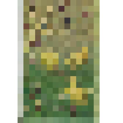 Открытка почтовая   "Христос Воскресе!"