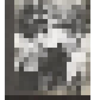 Л.Н.Толстой в группе крестьян