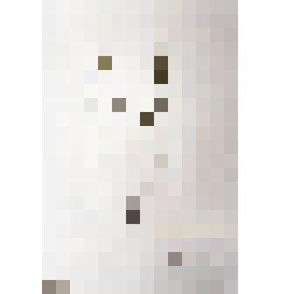 Гербарий
Икотник серый