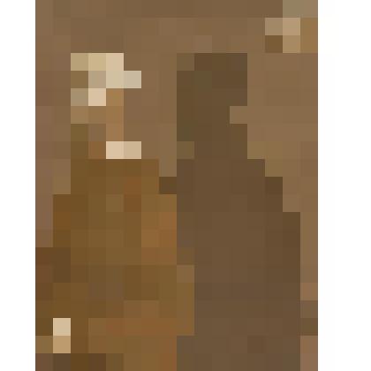 Каин и Авель