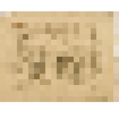 Блудная жена