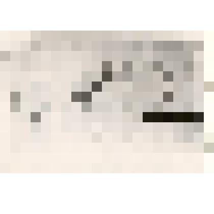 Фотография: копия удостоверения № 3760 от 02.09.1922 г. в том, что Ляпустин есть член Каменского городского Совета Рабочих, Крестьянских и Красноармейских депутатов