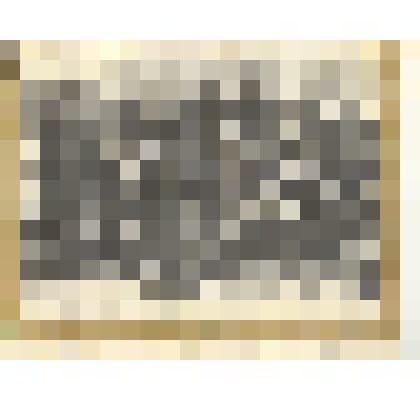 Фотография: первые курсы трактористов коммуны "Вставай бедняк" в 1923 г