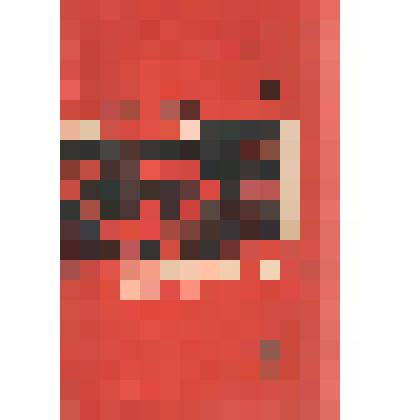 Книга И. Юдович "Литуновы"