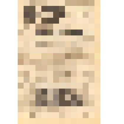 Газета. "Знамя труда" № 255 (6850) от 24 декабря 1976 г. Статья Е. Петрова "Чудское озеро"