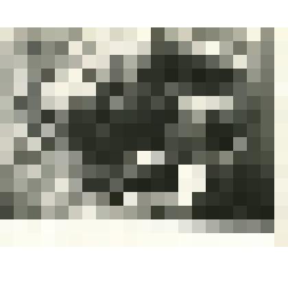 Фотокопия.  Гармаш Д.М. обучает тракторному делу