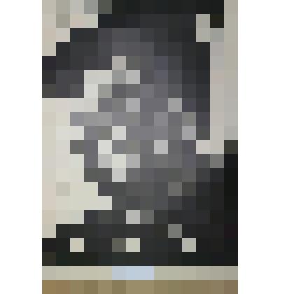 Картина. Портрет Ф.К. Салманова