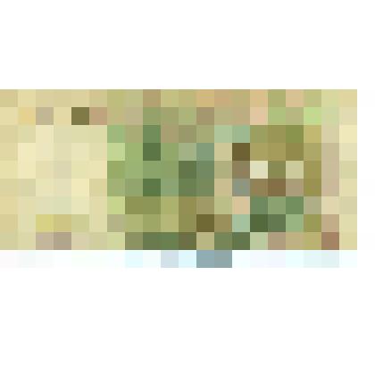 Денежный знак 1000 рублей