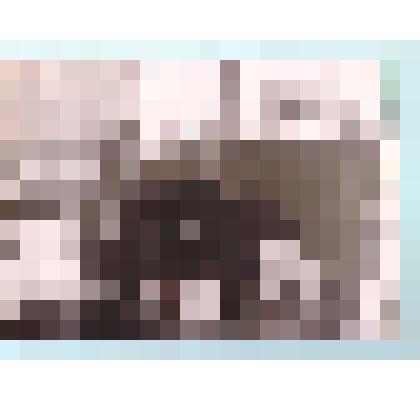 Фотография. Работники Валуйского сахарного завода