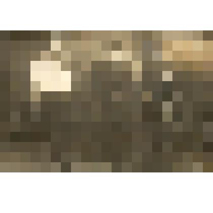 Фотография. Работники УКОМа комсомола. 1925 год