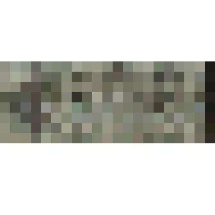 Денежные знаки сибирского временного правительство: Двадцать пять