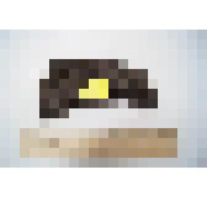 Кожаный сапог. Фрагмент