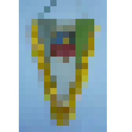 Вымпел от польской делегации