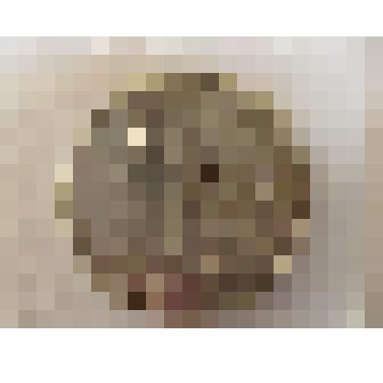 Монета 50 копеек 1926 г