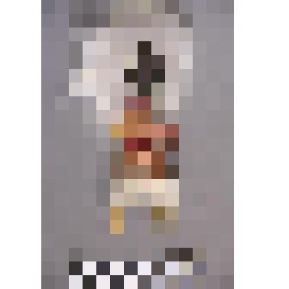 коллекция В.Ф. Лагодича. Фигурка «предка». Деревянная статуэтка человека. Лицевая сторона одежды из медной фольги. Спина и капюшон меховые. На шее и поясе повязки из красной кожи, к поясу на латунной проволоке прикреплено медное кольцо