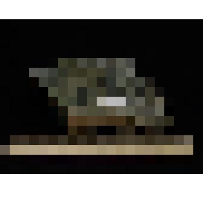 Минералогический образец. Берилл изумрудно-зеленый