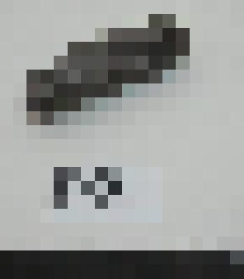 Палеонтологический образец. Коралл шестилучевый стилина - Stylina sp