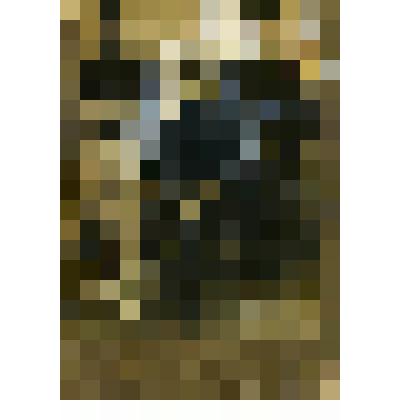 Фотография. Портрет братьев Кошкиных, жителей села Коломенского