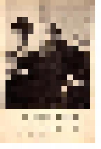 Открытка. Фотопортрет Н.К. Рериха