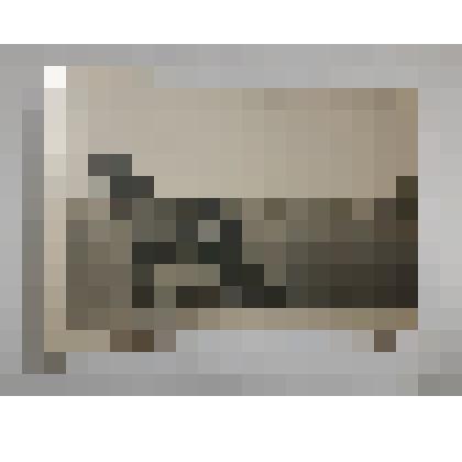 Фото. Конезавод в Репьевке