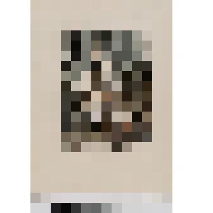 Сад трудящихся. Лист № 2 из альбома "Ленинград"