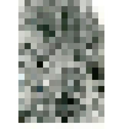 Фотокопия. Экспедиция в лесу