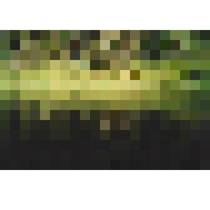 Фотография цветная. Река Пелым