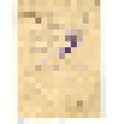 Записная книжка бригадира