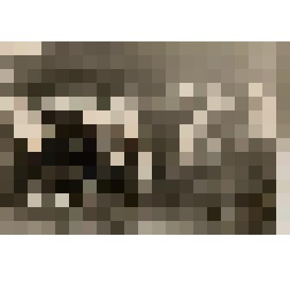 Фотография черно - белая групповая. Коммунистический субботник в санатории «Ливадия»