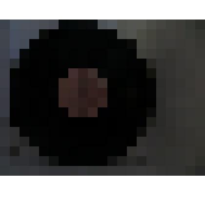 Грампластинка