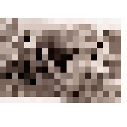 Фотография групповая. Делегация фабрики "Красный Октябрь" в гостях у Арженских текстильщиков