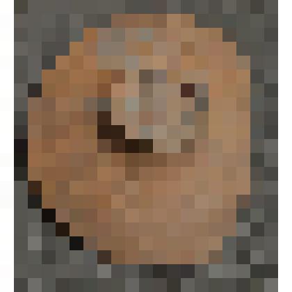 Плошка (светильник глиняный), XIX в