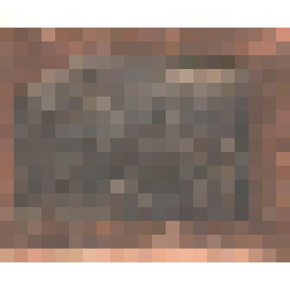 Фотография митинга в честь первых тракторов "Фотография"