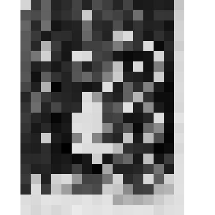 Экслибрис "Iз книг А. Базилевича"