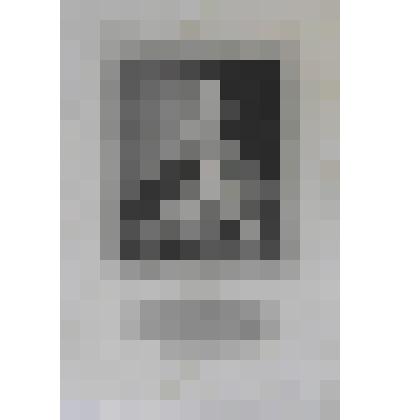 Портрет Густафа  Адольфа