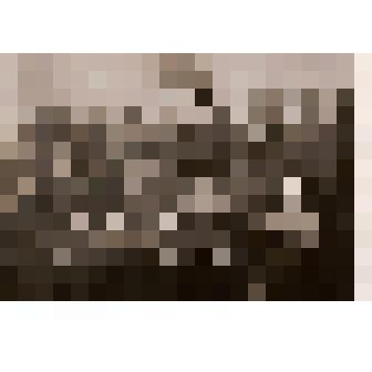 Группа железнодорожников в Берлине. Во втором ряду слева крайний Ряховский М.Л