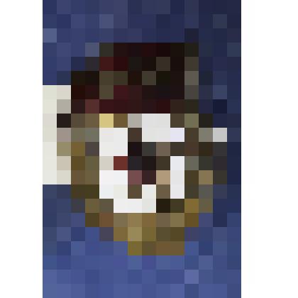 Знак "Гвардия" Середина Степана Николаевича