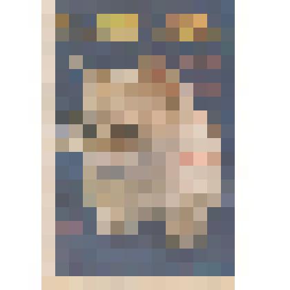 Газета "Зверь" № 1, январь 2002 г