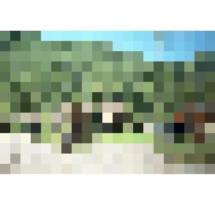 Негатив "Л. Тарковская"