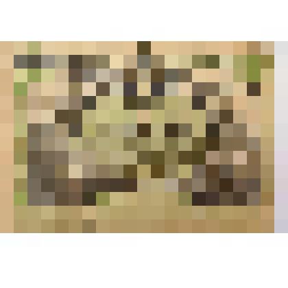 Билет шестой всесоюзной лотереи Осовиахима. Цена 1 рубль