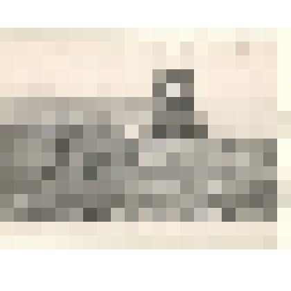 Фотография: сельхозработы в совхозе "Путь Ильича" Каменского района Алтайского края