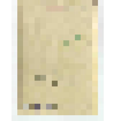 Фотопортрет Яшина Г.Я. на пионерском сборе