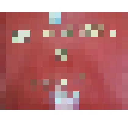 Альбом "Они сражались за Родину"